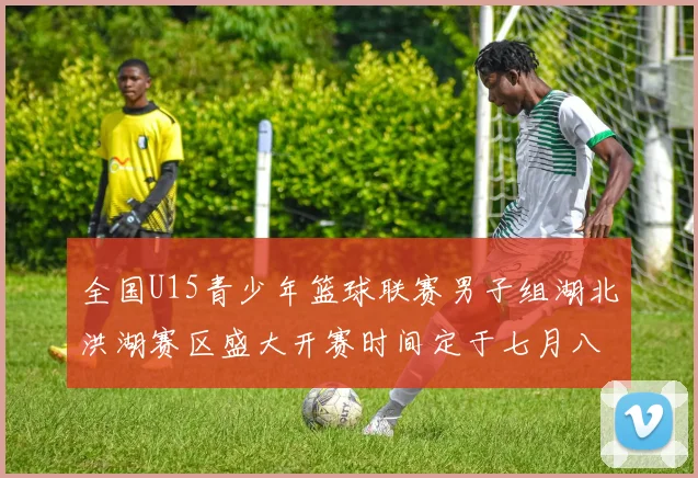 全国U15青少年篮球联赛男子组湖北洪湖赛区盛大开赛时间定于七月八日至十三日